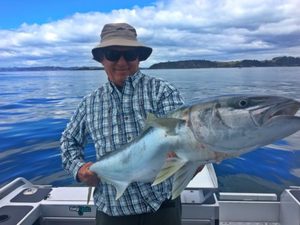 Kingfish & Snapper Charter - Big Fish Bay of Islands