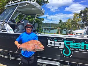 VIP Fishing Adventure - Big Fish Bay of Islands