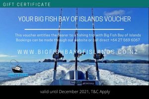 Products: Gift Certificates - Big Fish Bay of Islands