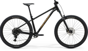 Big Trail 300 2026