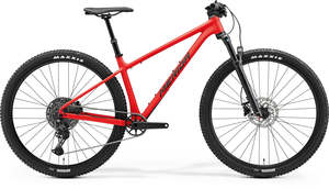 Hardtail: Big Nine TR 600 2024