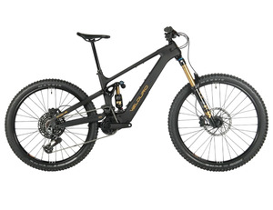 Rogue R M2S