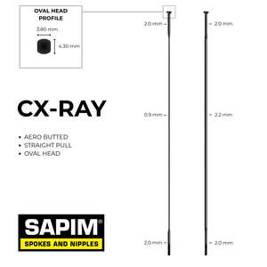 Wheel Parts: Sapim Cx Ray Spokes Straight Pull Oval Head