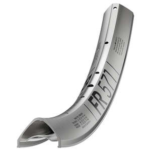 Rims: DT Swiss Rim FR 571 Silver