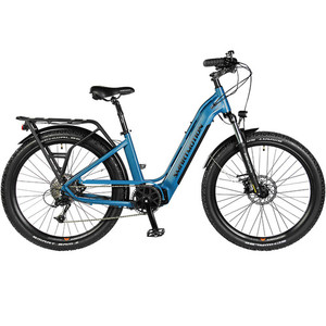 Products: Smartmotion X-City Neo Bikes & Scooters