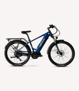 Bighorn LS e-Bike Bikes and Trikes