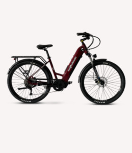 Products: Bighorn S Electric Bike Bikes and Trikes