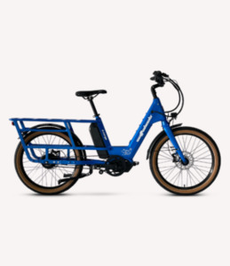 Products: Bighorn S Electric Bike Bikes and Trikes
