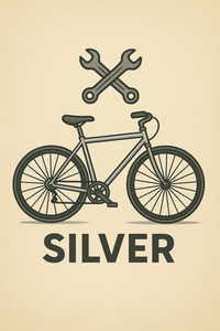 Servicing: BIKE SERVICING - SILVER