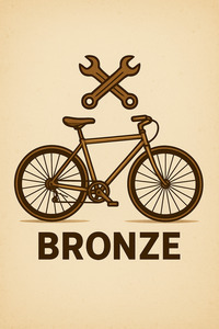 Servicing: BIKE SERVICING - BRONZE TUNE-UP