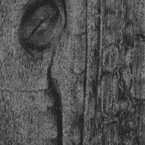 Decorati: Carbonised Timber Antigrav [Yakisugi]