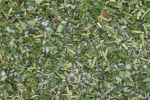 Seasonings: A Little Bit French