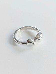 Products: Parade Ring - Billy Phain