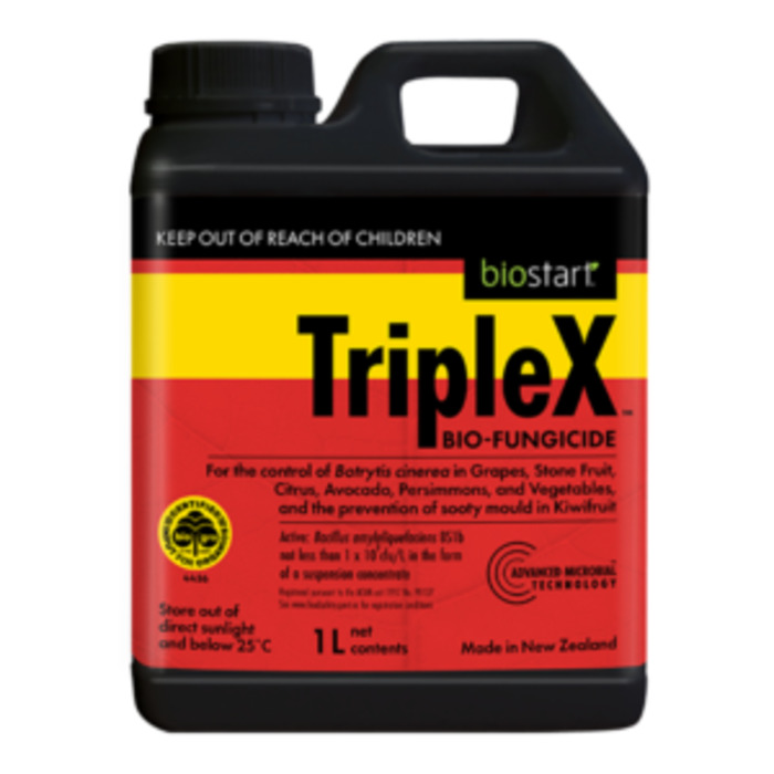 TripleX