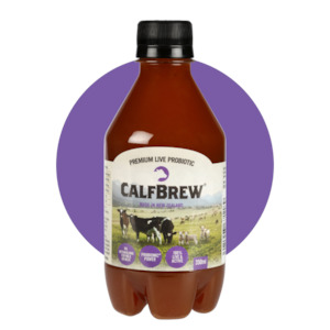 CalfBrew 350ml Multipack