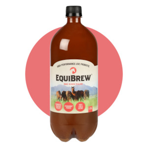 EquiBrew 1.25L Multipack