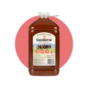 Frontpage: EquiBrew 4L