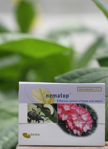 Products: nematop® for Black Vine Weevil and Grass Grub Control