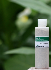 Mite-E for Spider Mite Control