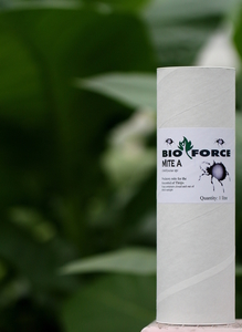 Mite-A for Thrips Control