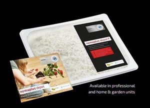 nemaplus® Depot P for Fungus Gnat & Thrips Prevention