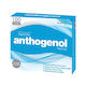 Anthogenol 100 Capsules Multi Active Phyto Nutrient Complex Orginal OPCs