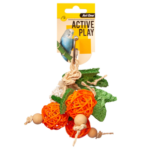 Avi One Rattan Ball W Loofa 24cm – The Parrot Place