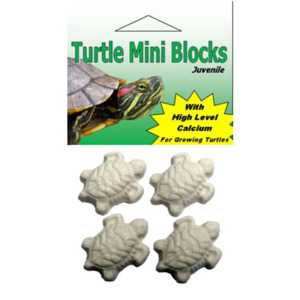 Turtle Mini Blocks – 4pk 19g – The Parrot Place