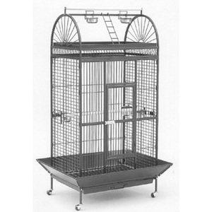 Products: Avi One 210BB – The Parrot Place