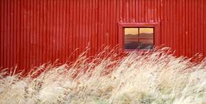Landscape: The Red Barn Window