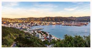 Landscape: The City from Mount Vic