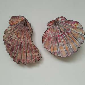 Small: Scallop Shell Pair