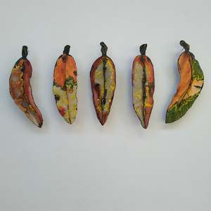 Small: Set of 5 Gum Leaves