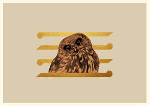 Realism: Golden Ruru