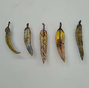 Under 500: Set of 5 Gum Leaves - Muted