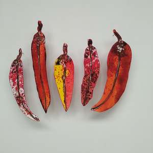 Liz Mcauliffe Art: Set of 5 Gum Leaves