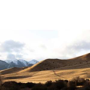 Photographic Canvases: Farmers Track