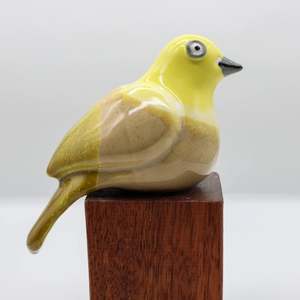 Mohua | Yellowhead