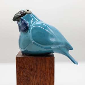 All: Kokako