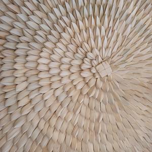 Basketry: Porcupine Plate