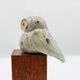 Ruru | Morepork