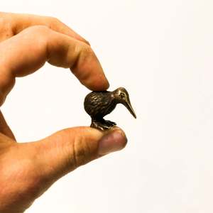 Bronze Sculpture 1: Bronze Kiwi - Tiny