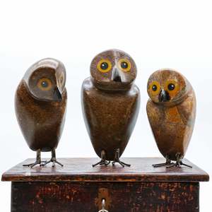 Ruru | Morepork