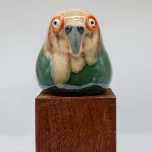 All: Kakapo