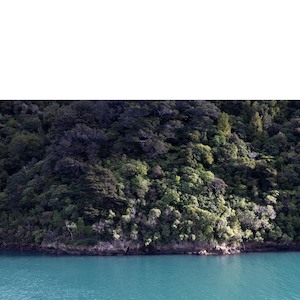 Photographic Canvases: Marlborough Shoreline