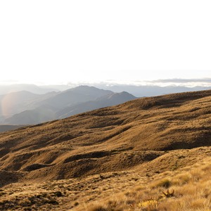 Photographic Canvases: Golden Hour