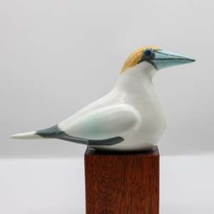 All: Tākapu | Australasian Gannet