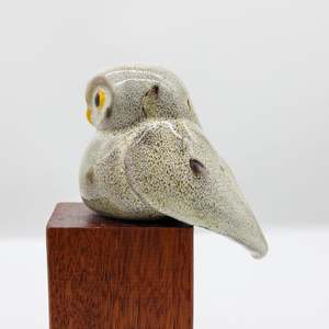 All: Ruru | Morepork