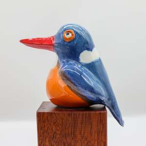 All: Malachite Kingfisher