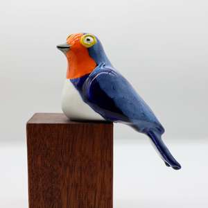 Warou | Welcome Swallow